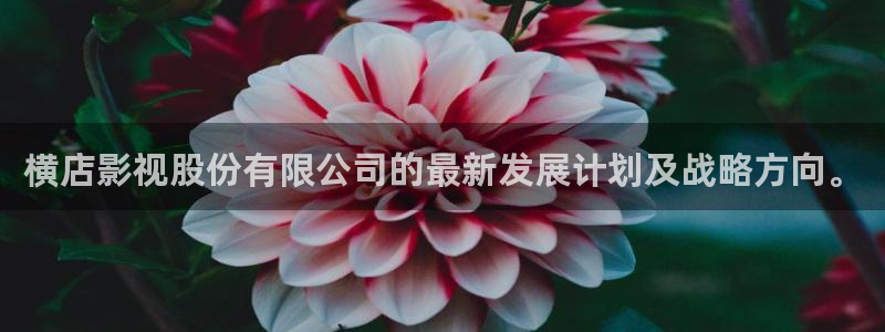 金桔直播視頻觀看：橫店影視股份有限公司的最新發展計劃及戰略方向。