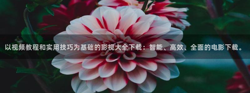 金桔直播免費(fèi)視頻：以視頻教程和實(shí)用技巧為基礎(chǔ)的影視大全下載：智能、高效、全面的電影下載。