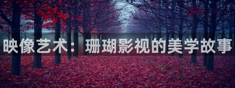 金桔 影視：映像藝術：珊瑚影視的美學故事